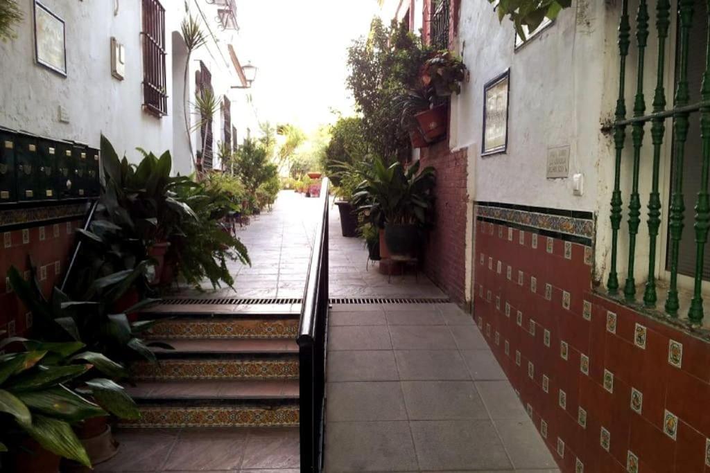 Tipico Y Pintoresco Patio De Vecinos, Con Encanto