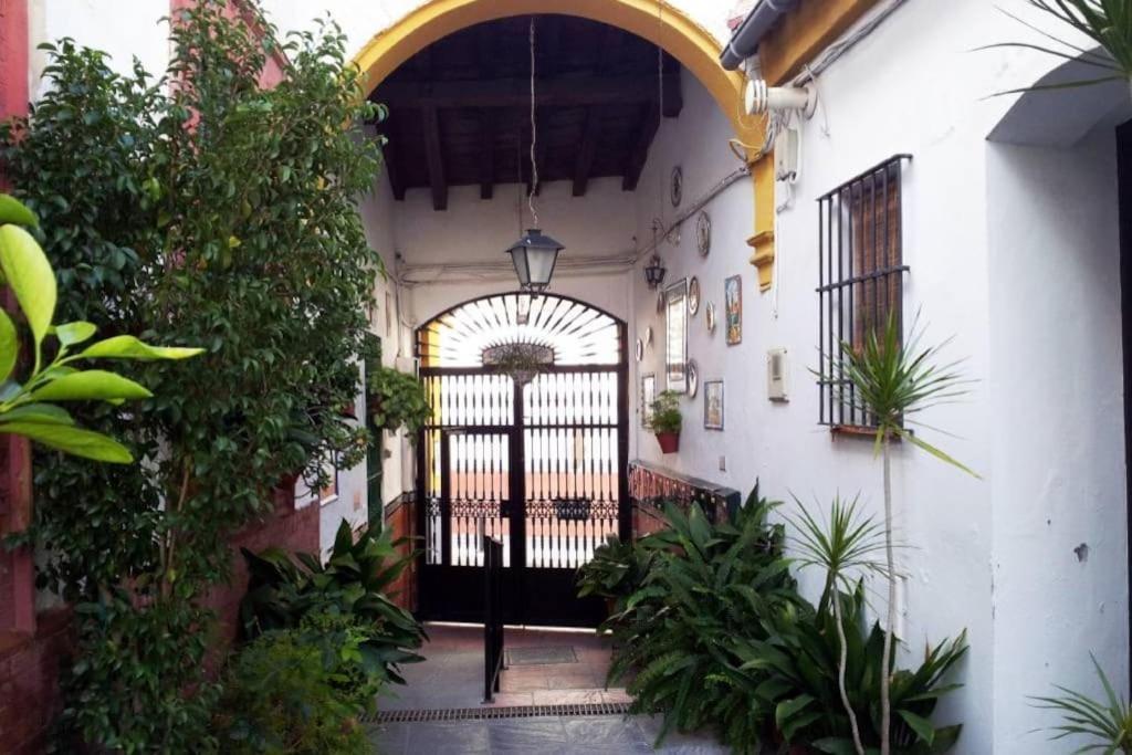Tipico Y Pintoresco Patio De Vecinos, Con Encanto Appartement