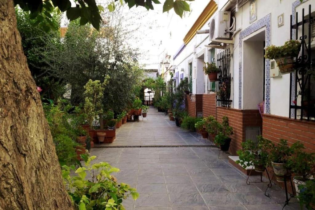 Tipico Y Pintoresco Patio De Vecinos, Con Encanto Séville