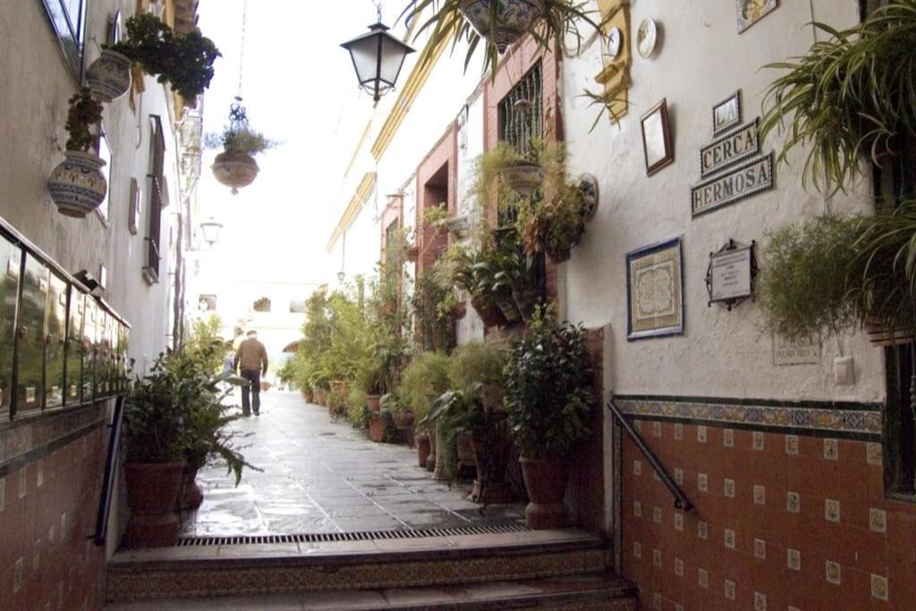 Appartement Tipico Y Pintoresco Patio De Vecinos, Con Encanto Séville