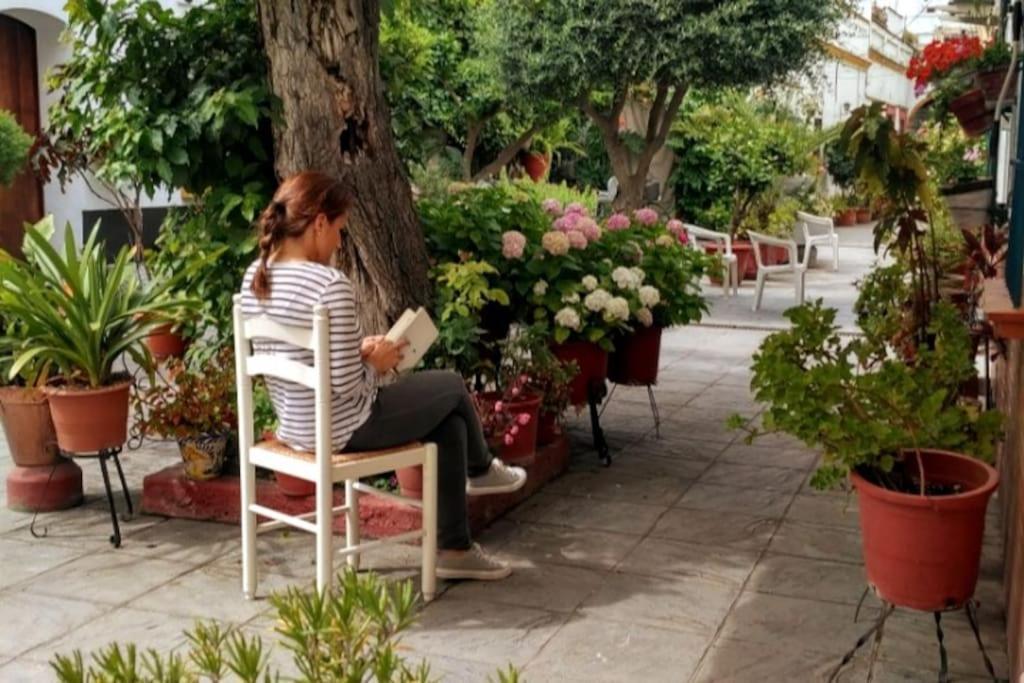 Tipico Y Pintoresco Patio De Vecinos, Con Encanto Appartement Séville